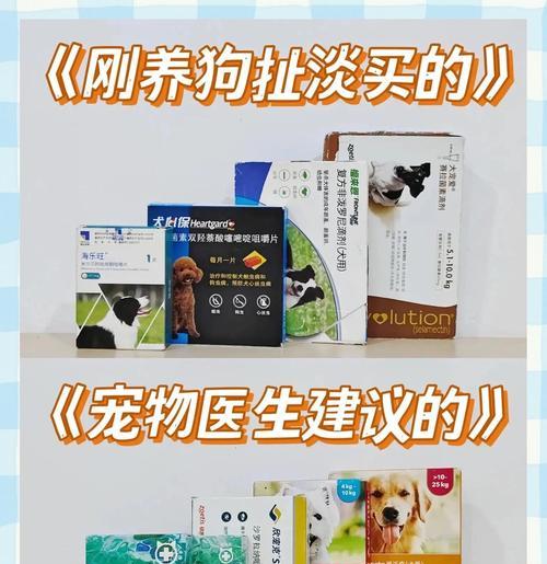 狗吃了打虫药多久见效？（狗吃打虫药的关键事项及时间预期）