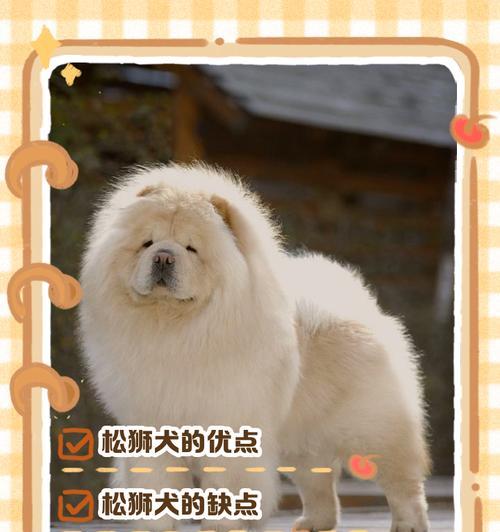 松狮美容秘籍（打造宠物造型的关键——松狮毛发修剪时间表）