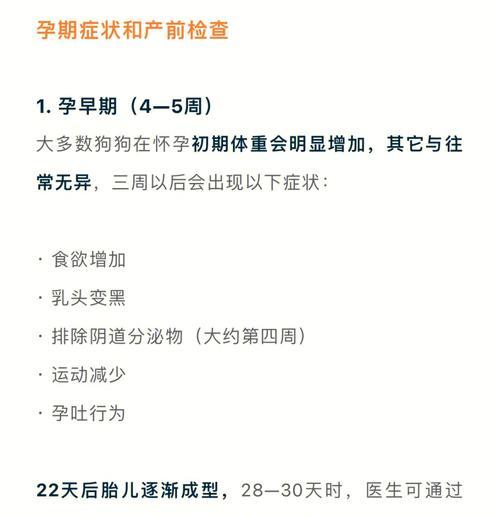 狗狗怀孕至下奶多久生？——一窥母犬生产的时间节点（探究母犬怀孕、分娩和哺乳的关键阶段及生理变化）
