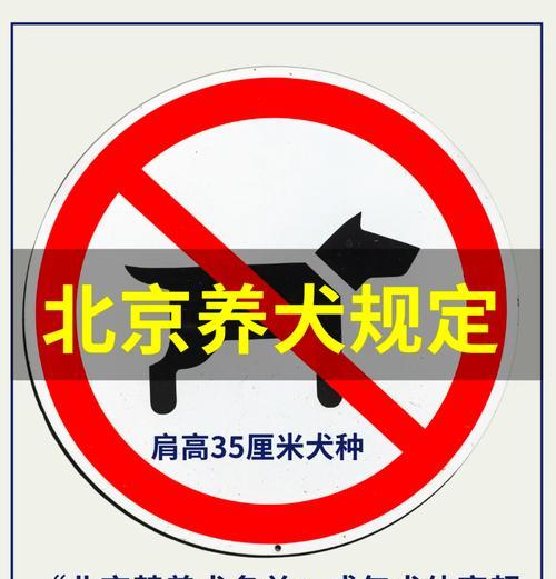 威海市区禁止养犬种类揭秘