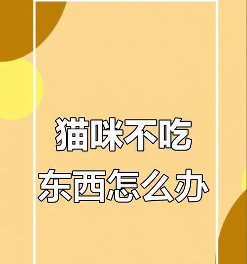 缓解猫咪严重掉毛的食物（为您的爱猫提供健康食物，减轻掉毛问题）