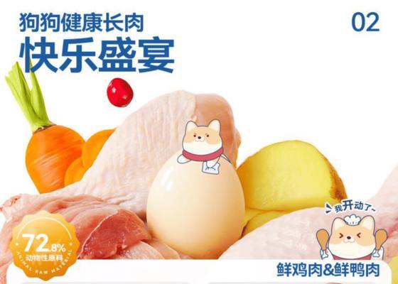 泰迪幼犬饮食常识（科学饮食如何助力泰迪幼犬健康成长）