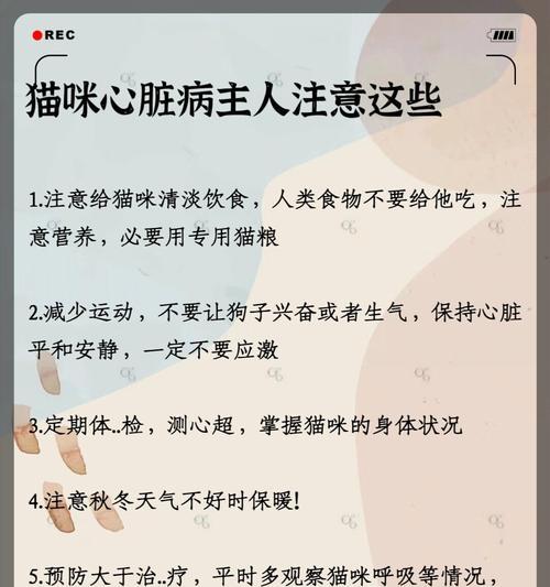 猫咪的心跳频率和测量方法（猫咪的正常心跳频率及家庭测量方法）