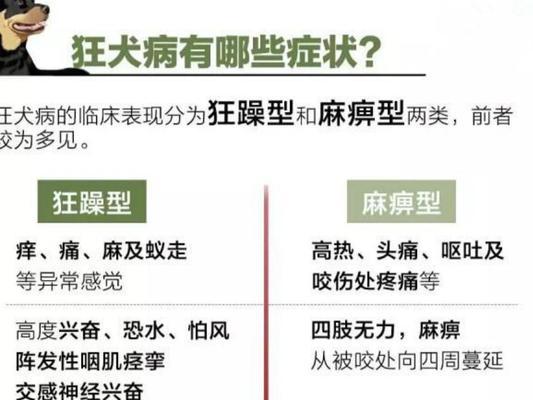 狂犬病症状持续时间的探究（狂犬病症状的时限及关键因素分析）
