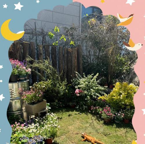 以绿鬣蜥可以喂食哪些蔬菜？（了解绿鬣蜥的蔬菜食谱，保持它们的健康与活力。）