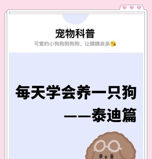 养泰迪狗狗，药品备齐才能安心（泰迪狗狗养育过程中必备药品及其作用）