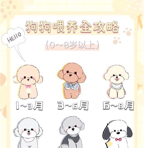不同体型狗狗的生长周期（探秘狗狗成长中的差异及关键期）