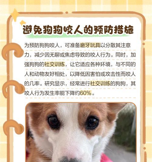 哪些狗品种容易咬人？（了解狗狗的攻击性和防范措施）