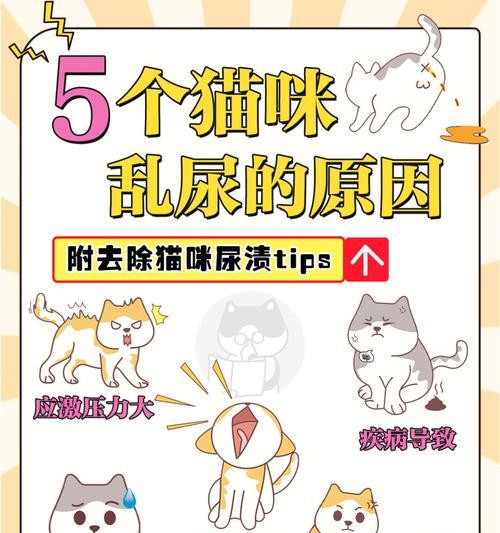 揭开猫咪吐绿水之谜（探究猫咪消化系统问题的原因及处理方法）