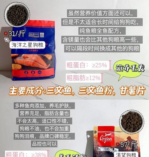 一斤狗粮能供养你的宠物多久？（探究每日摄入量及宠物体重的关系）