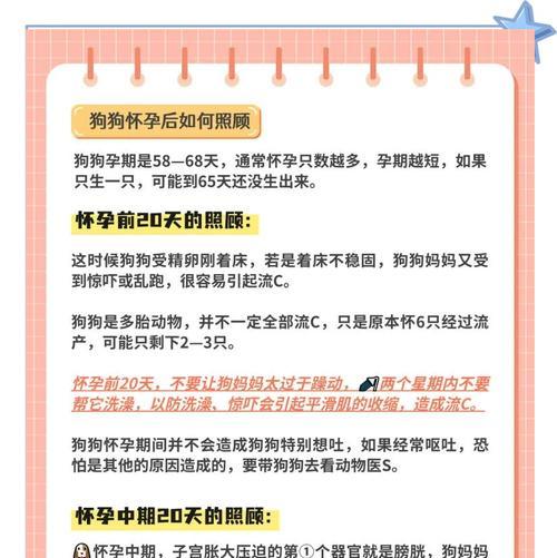 狗狗怀孕的时间有多久？（揭秘狗狗的怀孕周期及相关知识）