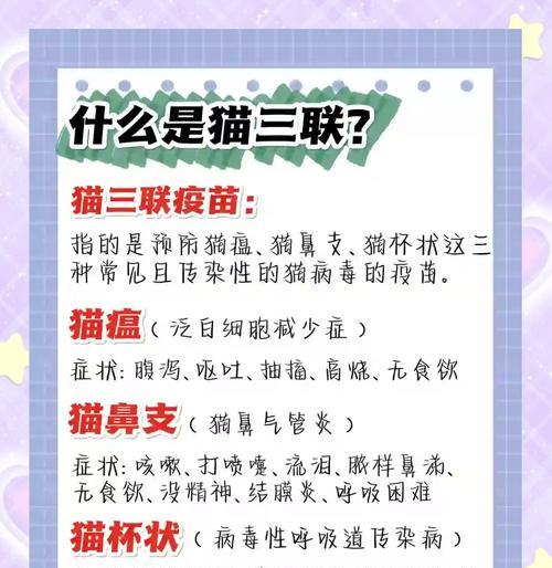 猫疫苗（疫苗接种周期及关键因素分析）