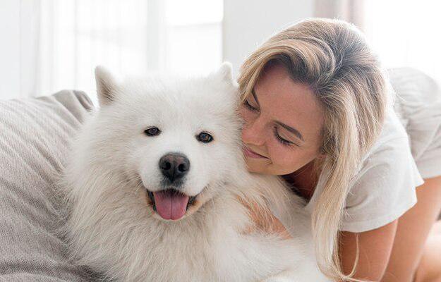 解决萨摩耶不吃狗粮问题的方法（学着自制狗粮，让狗狗营养均衡不挑食）