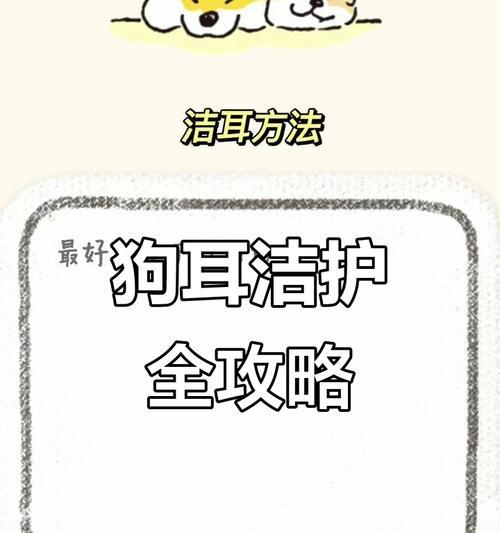 狗狗耳朵清洗的最佳频率（你需要知道的关于狗狗耳朵清洗的一切）