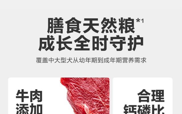 金毛犬一斤狗粮能吃多久？（探究金毛犬食量及饮食管理的关键因素）