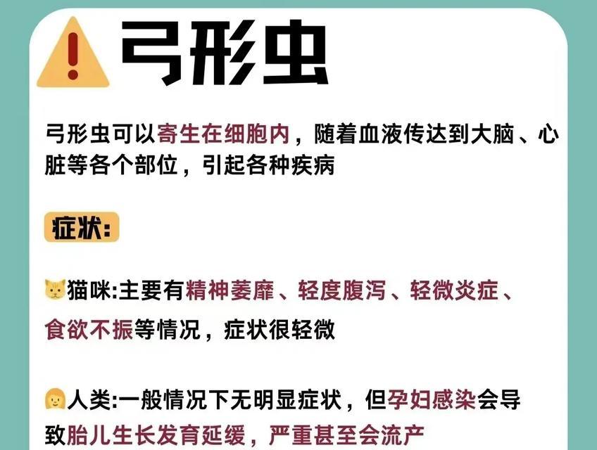 猫与人之间的疾病传播（揭秘以猫能传染人的常见疾病，保护你和你的宠物的健康）