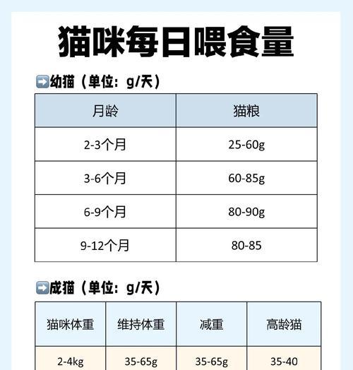 猫咪多久可以吃一次肉？（了解猫咪肉食频率的关键因素及注意事项）