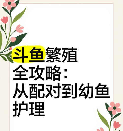 斗鱼卵孵化与小鱼饲养指南（孵化周期及方法，小鱼养护技巧）