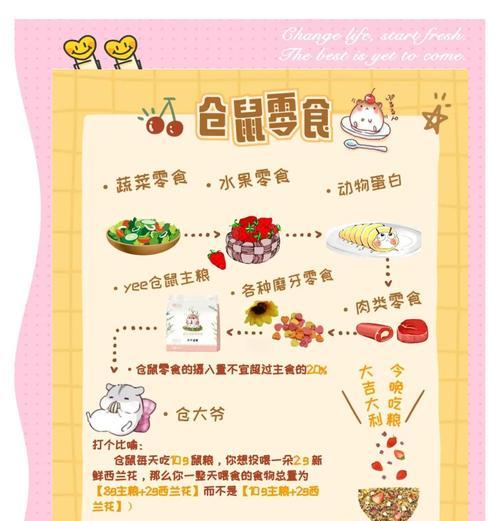 仓鼠的饮食习惯及喂食频率（了解仓鼠的食物需求，打造健康饮食计划）