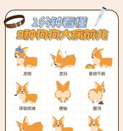 狗狗咳嗽竟是细小！怎么办？（了解细小的症状和应对方法，保护你的爱犬健康。）