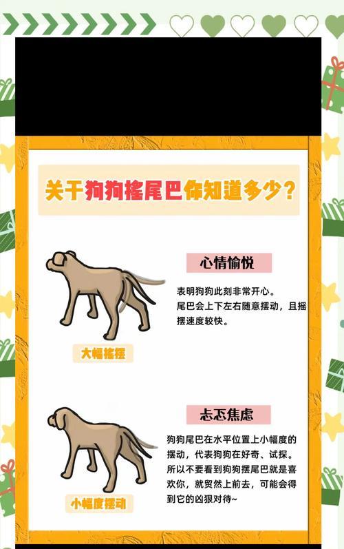 狗狗断尾（关于狗狗断尾的利弊和注意事项）