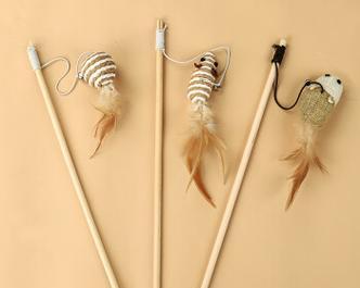 探索小猫宝宝玩具的乐趣（小猫宝宝玩具的种类及其益处）