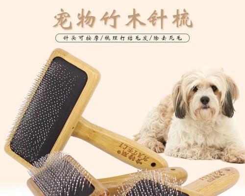宠物梳子的功能全解析（了解宠物梳子的功能和选择方法，给宠物更好的护理）