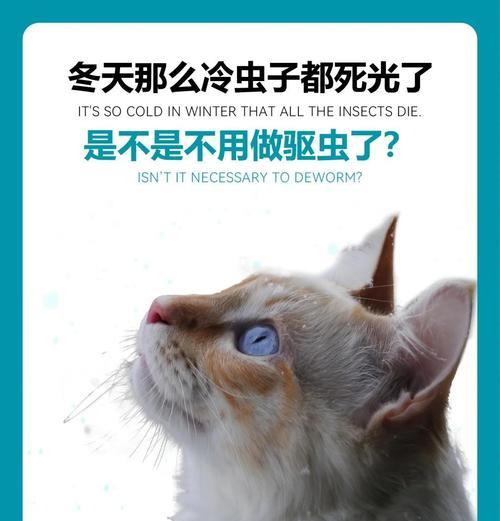 小狗到家后多久能进行驱虫？（小狗驱虫的最佳时间及注意事项）