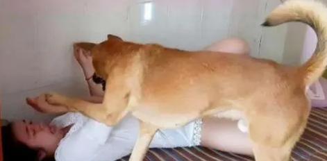 狗子宫癌症状大揭秘（了解狗子宫癌的症状及早发现关键）