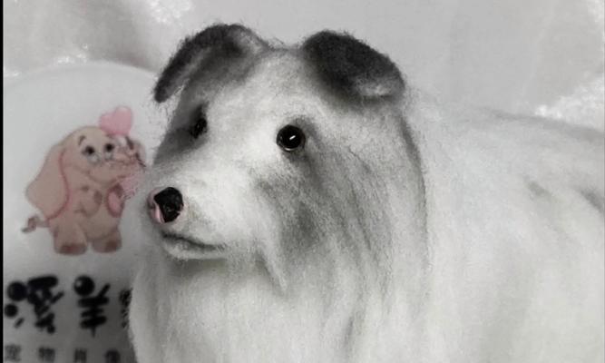 小狗长毛时间分析（了解小狗什么时候开始长毛？长毛需要多久？）