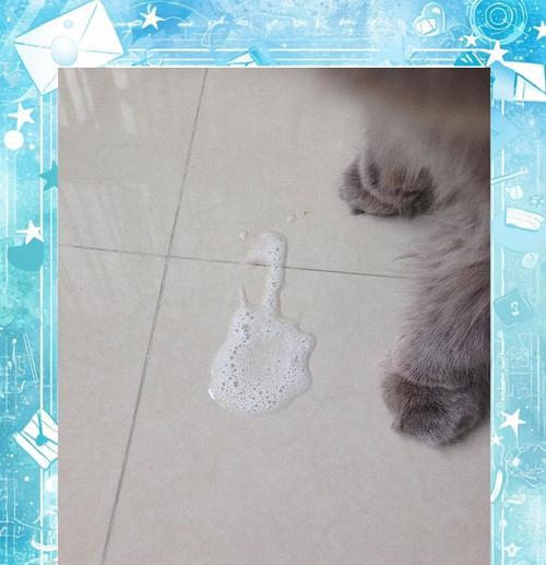 猫咪吐了没消化的猫粮，肠胃不好是原因吗？（探究猫咪吐出没消化的猫粮的原因和解决方法）