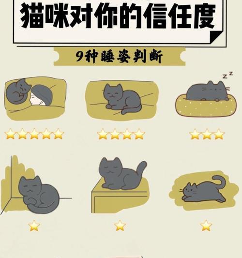 如何赢得猫咪的信任（建立与猫咪的深度连接，让它们成为你的好朋友）