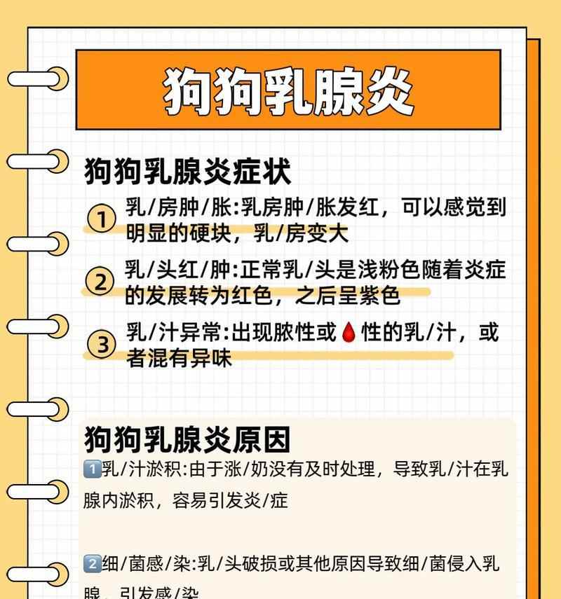 狗产后乳腺炎的症状及处理方法（了解狗产后乳腺炎的常见症状，保护母狗健康！）