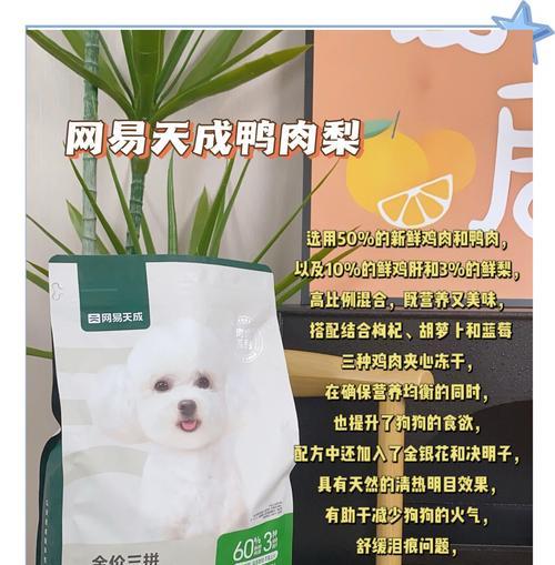 柯基犬市场价格调查（了解柯基的价格趋势和因素）