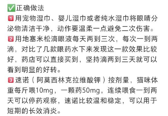 小猫眼睛发炎，需要多久才能好？（猫眼睛发炎的原因、症状和治疗方法及预防）