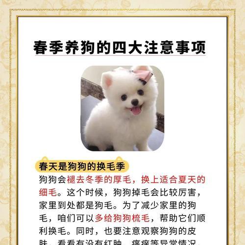 春季宠物换毛大作战（了解换毛的要注意事项，让宠物轻松度过春季）