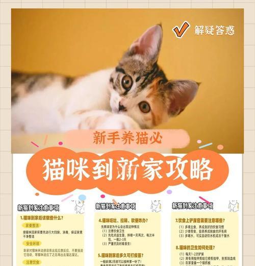 猫咪进新家需要适应多久？（探索适应新环境所需的时间和方法）