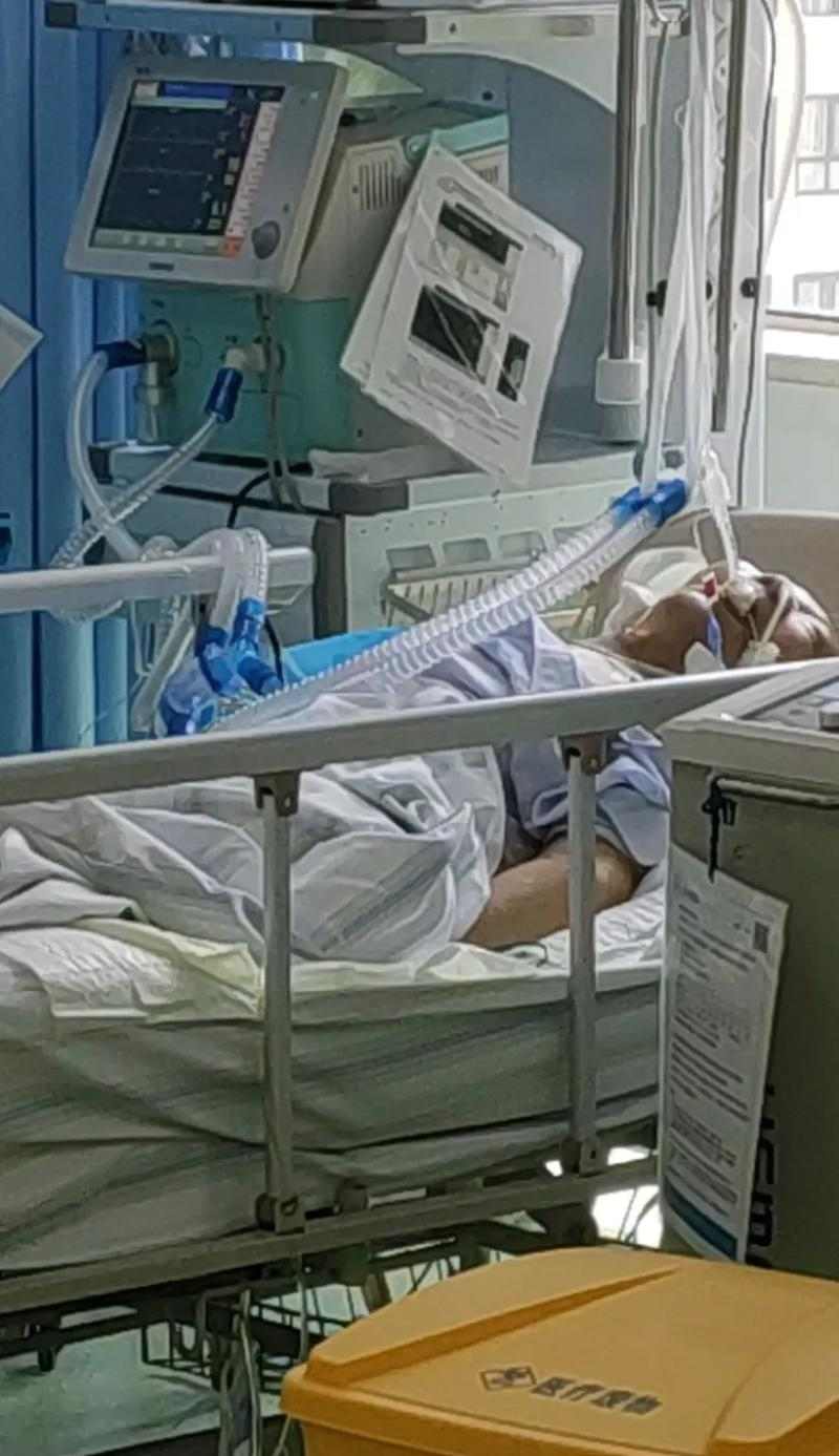 宠物生病（面对高昂的治疗费用，如何做出正确的选择）