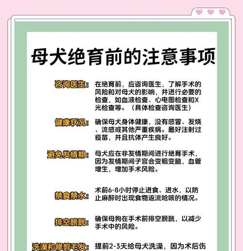 小狗伤口处理与洗澡的正确时间（小狗伤口恢复需要注意的时间和方式）