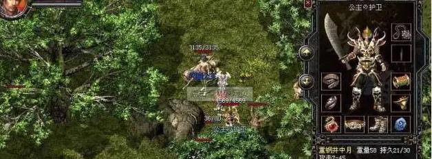 带宠物进行长途旅行的禁食时间及注意事项（为猫咪做旅行准备，掌握禁食时间）