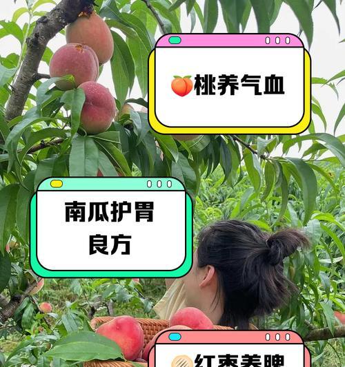 以马犬美毛食疗秘籍（让你的宠物毛发柔顺光滑，尽显健康与美丽）