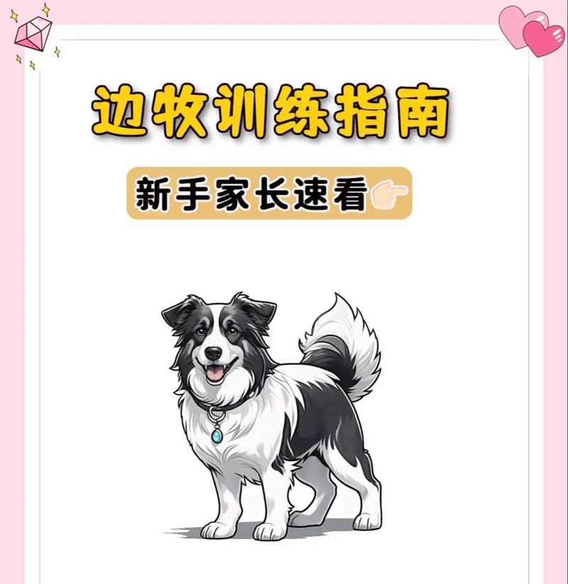 如何正确抱起一只狗狗（训练指南及技巧，让你和狗狗更安全快乐地互动）