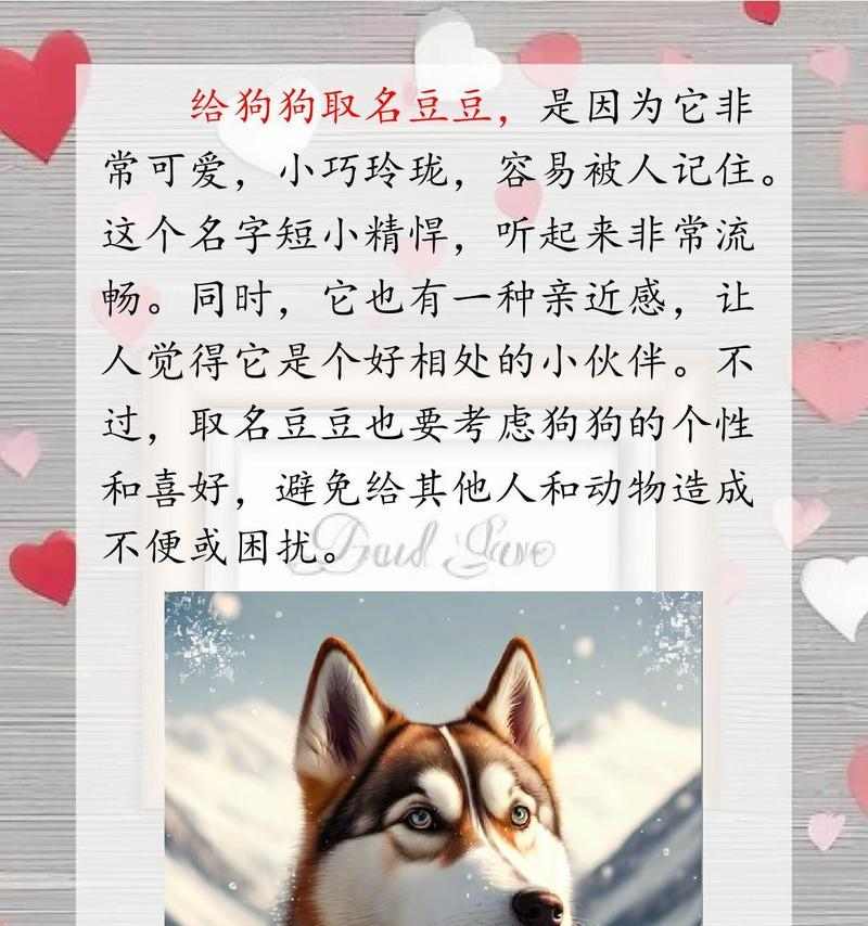 狗的记忆力（揭秘狗狗记忆力的奥秘和限制）