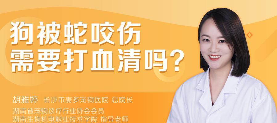 狗打血清能够持续多久活泼？（了解狗打血清的持续效果及注意事项）
