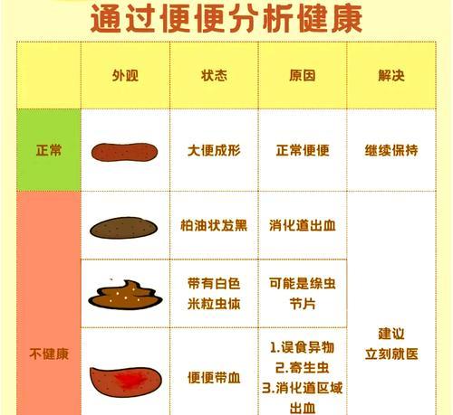 探究健康猫咪的排便状况（猫咪便便判断图助你了解它的健康状况）