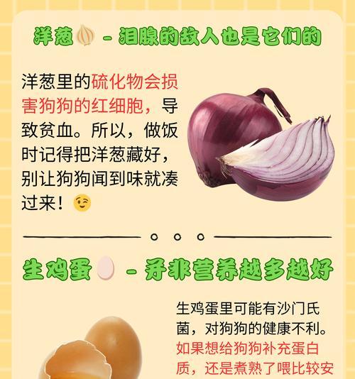 给狗狗吃什么样的冰淇淋？养宠攻略（避免巧克力，酸奶是理想选择）