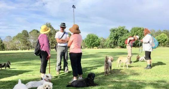 骑自行车遛狗，轻松掌握三步走！（让你的狗狗也能享受自行车出行的乐趣）