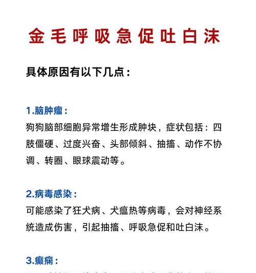金毛生病的常见症状及注意事项（了解金毛生病的症状，守护爱宠健康）