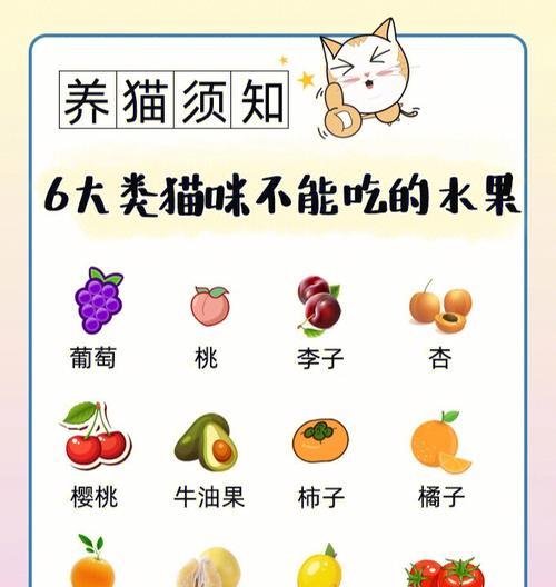 猫可以吃哪些水果？（探究猫咪适合食用的水果种类及注意事项）