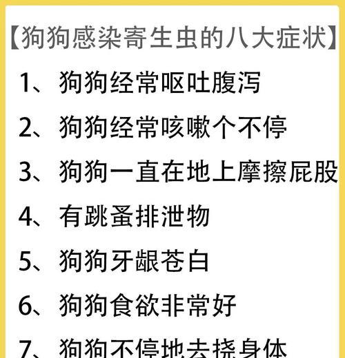 狗狗体外驱虫的重要性与方法（保护狗狗免受寄生虫侵害的必要措施）